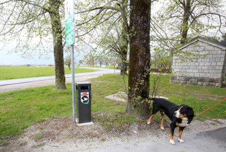 KOŠ ZA PASJE IZTREBKE CERKNICA PRI KAPELICI 00 FOTO LJUBO VUKELIČ (3)